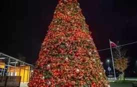 470220353_122183946482247057_1820735085844453054_n