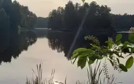 WhatsApp Image 2025-06-04 at 19.53.30