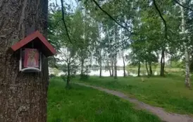 WhatsApp Image 2025-06-04 at 19.53.36(2)