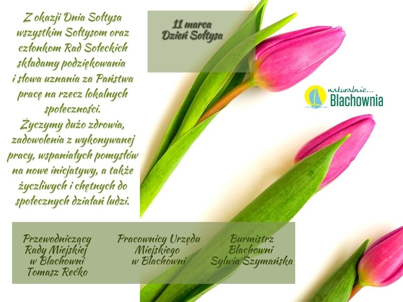 ul-_Kościuszki_12,_01-234_Rzesz&oacute;w_Telefon_(54)_653_73_57_witaj@naprawdeswietnastrona-pl_www-naprawdeswietnastrona-pl